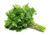 Persil plat