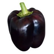 Poivron noir