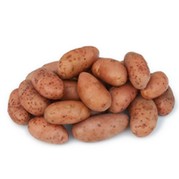 Pomme de terre Jeannette