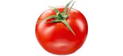 Tomate ronde rouge