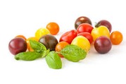 Tomates cerises multicolores