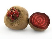 Betterave rouge