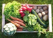 Panier de légumes