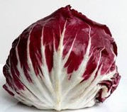 Salade chicorée chiogga