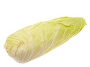 Salade chicorée pain de sucre